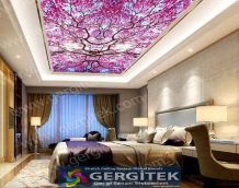 Ankara gergi tavan salon modelleri gökyüzü ve çiçek resmi